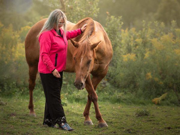 equine-training-course