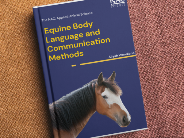 Equine Body Language