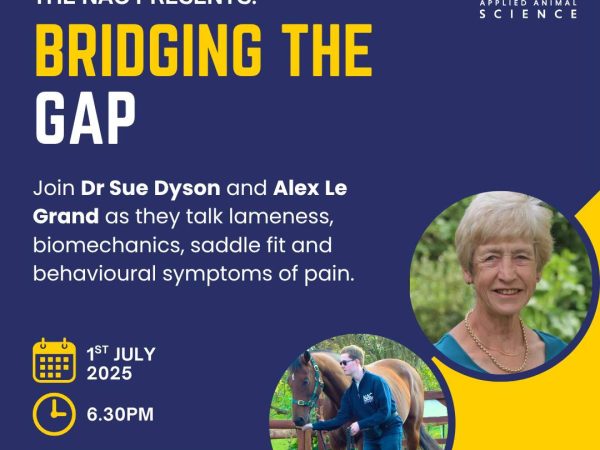 On Demand Webinar: Bridging The Gap - Dr Sue Dyson & Alex Le Grand